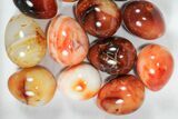 Lot: - Polished Carnelian Eggs - Pieces #91440-1